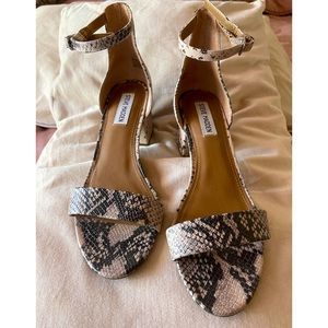 Women’s Block Heel Ankle Strap Steve Madden Snakeskin Print.